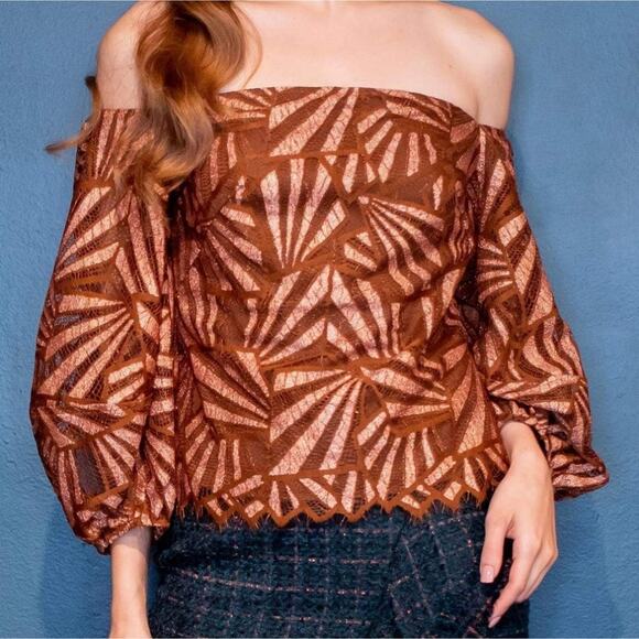 NWT Eva Franco Anthropologie Shine Lace Blouse in Copper, Sz L - Picture 2 of 12
